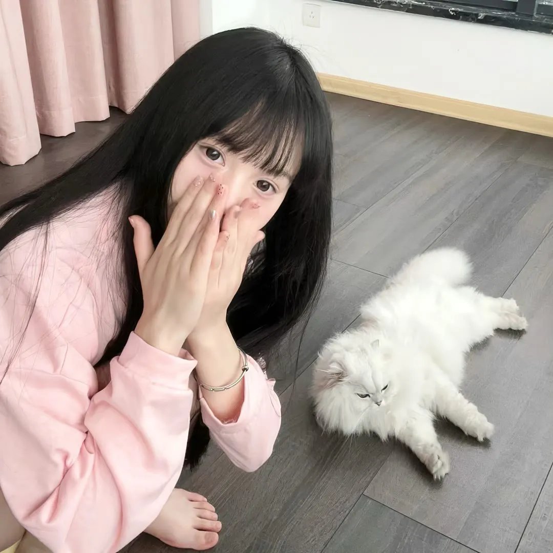 精卫填海 在线观看